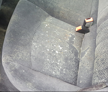 CARLIFTING.pl auto detaling - czyszczenie, renowacja i konserwacja poszczególnych elementów auta - Lublin, ul. Weteranów 11C